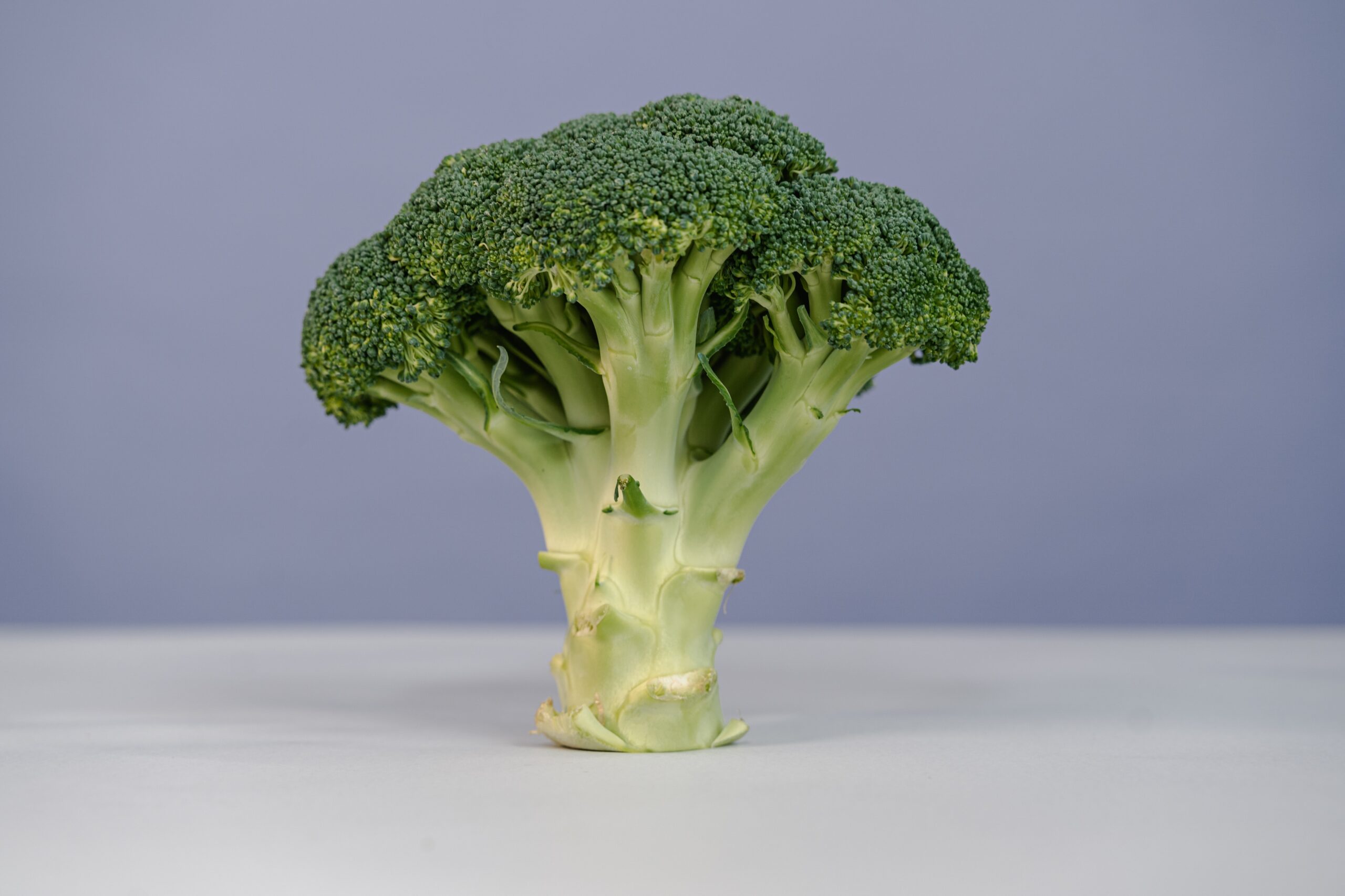 Recetas Deliciosas de Brócoli en Tu Freidora de Aire